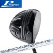 画像1: Progress BB6 DRIVER × syncagraphite Zinger (1)