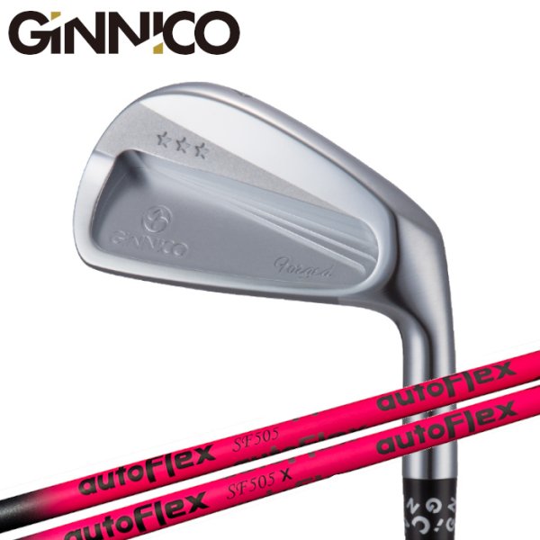 画像1: GINNICO CB+ IRON × AUTOFLEX IR【#5-PW 6本セット】 (1)