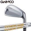 画像1: GINNICO CB+ IRON × TrueTemper DynamicGold【#5-PW 6本セット】 (1)