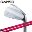 画像1: GINNICO MB IRON × AUTOFLEX IR【#5-PW 6本セット】 (1)