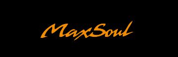 ５０セット限定！謎のアイアン MAX SOUL M558フォージドアイアン!!